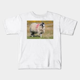 Swaledale Sheep on the Fells Kids T-Shirt